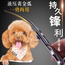 Bend Cutting Tools Pet Scissors Teddy Beauty Haircut VIP Pet Teddy Pooch Cut Hair Straight Row Package Fingernail