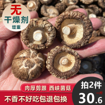 Dried shiitake mushrooms net weight no desiccant tray size optional bulk fresh specialties dried small shiitake mushrooms shiitake mushrooms