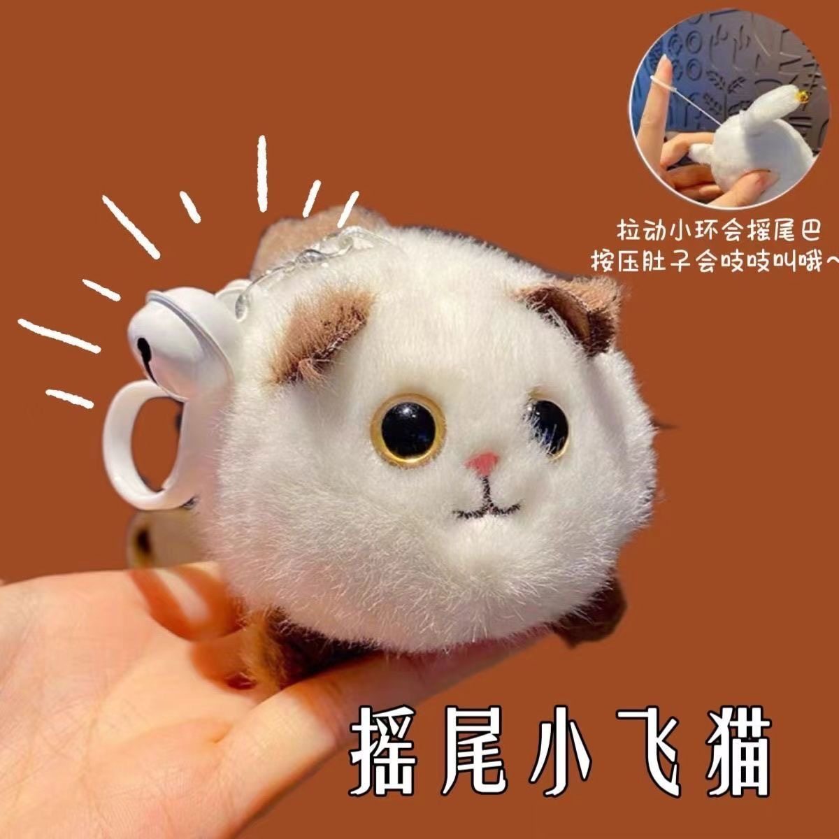 麻煩大家幫幫忙，協尋貓咪, image size:1200x1200