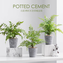 Nordic simulation plant potted ins creative living room indoor green turtle back Leaf small bonsai fake flower decoration ornaments