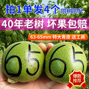老树南疆石核桃-老树南疆石核桃促销价格、老树南疆石核桃品牌- 淘宝