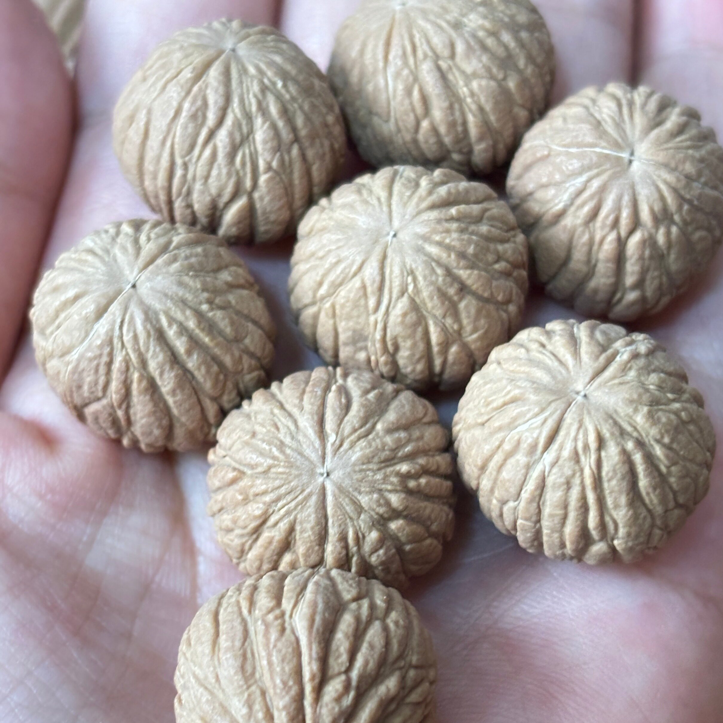 ❤️新入荷❤️No.648❤️文玩くるみ（文玩核桃） 精配南瓜墩 文玩核桃南瓜墩-文玩核桃南瓜墩促销价格、文玩核桃南瓜墩品牌- 淘宝