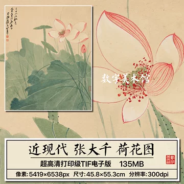 张大千荷花装饰画-张大千荷花装饰画促销价格、张大千荷花装饰画品牌- 淘宝