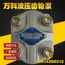 Gear pump hydraulic pump CBN-F310 F314 F306 F320 F325 F316 Huaian Vanke hydraulic
