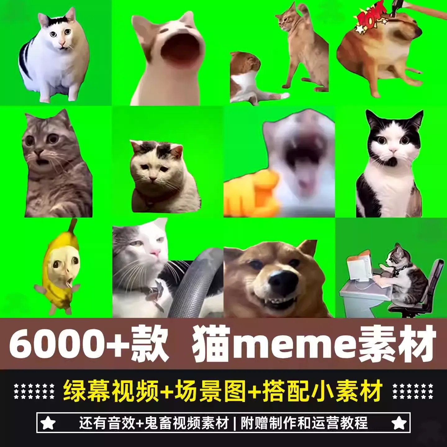 猫meme素材-猫meme素材促销价格、猫meme素材品牌- 淘宝