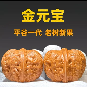 ❤️新入荷❤️No.672❤️文玩くるみ（文玩核桃） 精配元宝 元宝文玩核桃有喜欢的吗？#文玩 その他