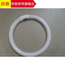 t5t6 ring tube round ceiling lamp tube 4 pin 3 base color white light 22w32w40W55 tile energy saving lamp ring lamp