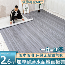 Household carpet bedroom living room Large Area whole paved thick wear-resistant waterproof moisture-proof non-slip mat modern simple style