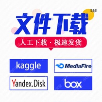 Github Box Yandex MediaFire Kaggle Foreign Network Disk Website File Data Set Download
