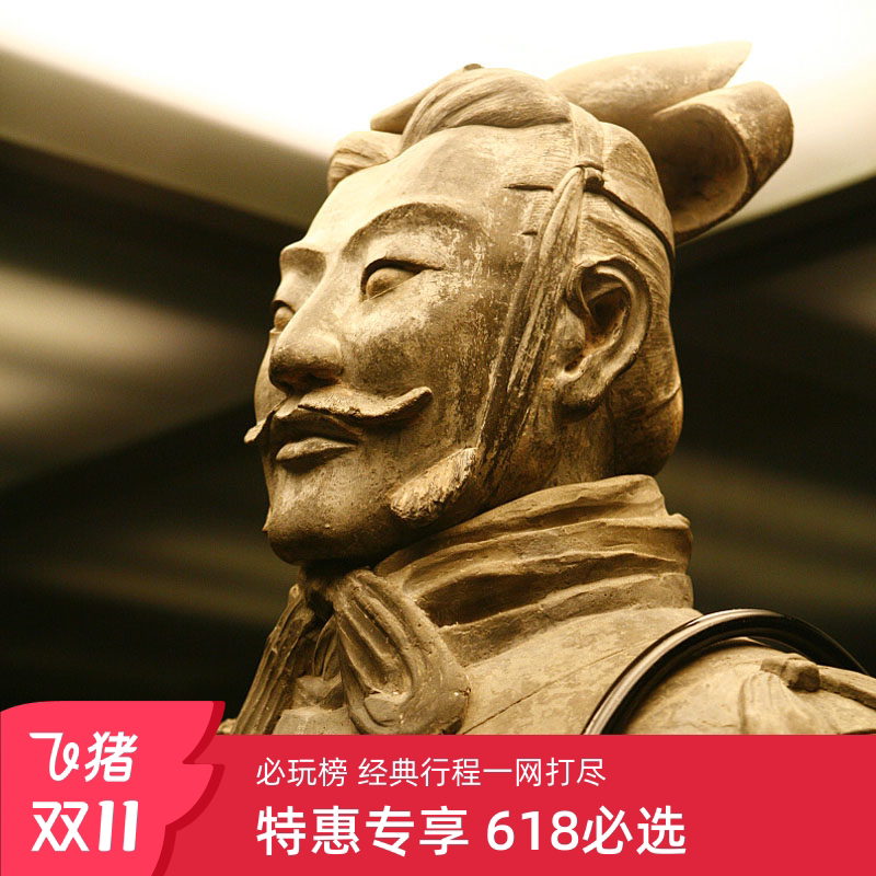 探寻古都秘境,兵马俑跟团游+华清池长恨歌,一场历史与文化的盛宴 🌟-旅行团-淘宝好物网
