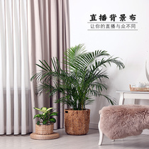 Live background cloth decoration 3d three-dimensional net red indoor photography simple ins hanging cloth wallpaper photo studio photo props