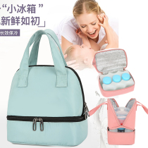 Mommy Bag Dorsal Milk Bag to Work Nation Milk Ice Pack Portable Handbag Breast Milk Blue Ice Preservation Package Refrigerated Milk Bag