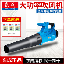 Dongcheng hair dryer electric blower FF-32 25 blowing and suction dust machine industrial dust collector tool Dongcheng