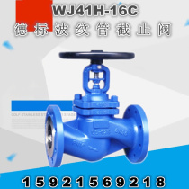 WJ41H-16C cast steel high temperature steam heat transfer oil German standard bellows flange globe valve DN25 32 40 50