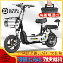 New national standard New day green source small knife Ma love bird with the same electric car adult men and women small battery bicycle