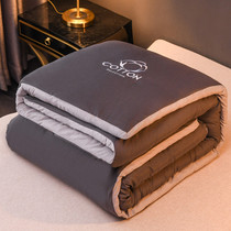 Spring space quilt Winter quilted by winter warm male students Single silk cotton quilted by core dormitory Spring and autumn by thick 1 5 m 2