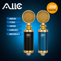 Philharmonie M14 Large diaphragm capacitor microphone mike YY main cast yelling mai recording network K song special equipment