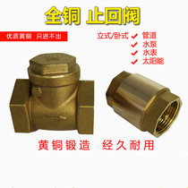 Brass check valve water pipe water meter DN15 20 25 check valve 4 6 minutes 1 2 inch vertical horizontal check valve