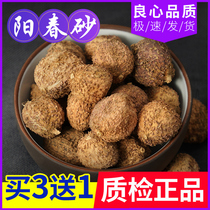 Spring Amomum Yangchun 500g specialty deep mountain wild spring sand kernel dry fruit soup steamed meat pruned Amomum kernel nourishing stomach