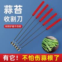 Garlic moss harvesting knife garlic moss artifact garlic table tool scraping stripping garlic moss artifact garlic harvesting knife