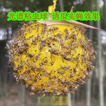 Needle bee trap fly ball melon fruit viscose board myworm board fruit fly trap stick fruit fly trap stick stick