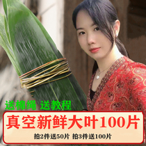 Fresh zongye King free mail large Dragon Boat Festival bag brown leaves bamboo dry vacuum packaging 2021 Ruo leaves