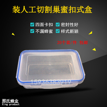 Nest honey box transparent plastic honeycomb honey box cutting honeycomb honey box cutting honeycomb box four side buckle sealing good