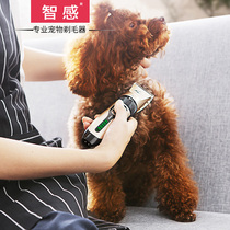 Give your dog a hair shave pet electric Tweets teddy shaved feet wool Soles Sole Soles Reflexion Kitten Shawter Kitten Shawls