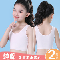Girls vest developing nei yi shao nv zhong da tong girl junior high school pupils cotton 9-10-12-15 age