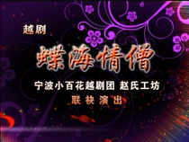 Yue Opera Butterfly Sea Love Monk Zhao Zhigang Chen Shi Sun Qin Zheng Chunfen Li Danhong Chen Yi Xu Weiwei 1DVD9