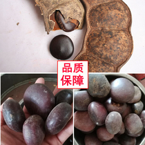 Yin Yangzi 500g kidney Wood waist deep mountain wine material kidney tree treasure can be matched with wind fruit double kidney