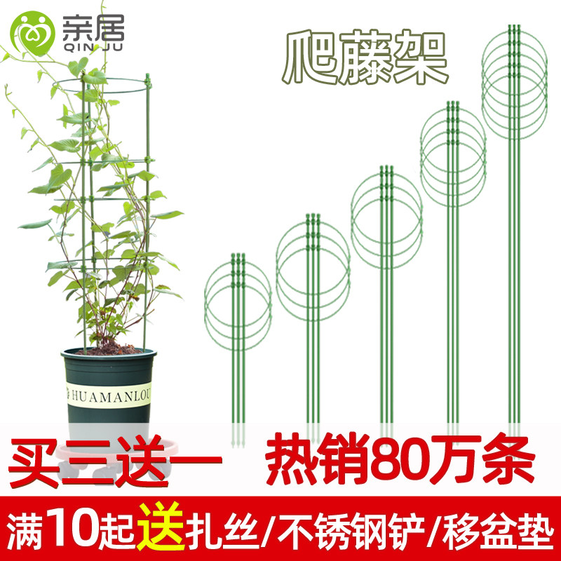 Living climbing rattan shelf flower stand monthly flower rack plant pot indoor flower support rod garden iron wire lotus climbing