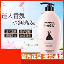 Three magic hair craftsman ginger shampoo to prevent hair growth and hyperplasia dense hair control oil to clear head itching and dust shop magic craftsman