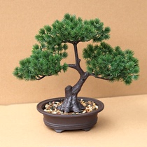 New large-scale artificial fake flower bonsai decoration indoor retro style living room and other counter decorations welcoming pine tree