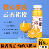 Chu Orange Orange juice Fresh squeezed NFC juice 245ml*6 bottles fresh cold pressed pure juice without adding a whole box of drinks