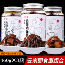 Yunnan specialty chicken mushroom porcini mushroom Matsutake mushroom bibimbap noodles Oily chicken mushroom instant mushroom sauce snacks Next meal