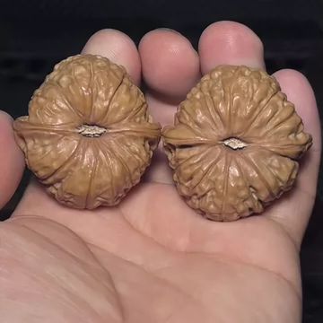 文玩核桃南瓜墩-文玩核桃南瓜墩促销价格、文玩核桃南瓜墩品牌- 淘宝