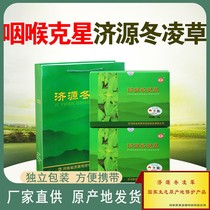 Winter Lingglu Tea bag with a throat with a sputum clearing throat dry fire 240 bags of lubricating tea ; Jiyuan specialty