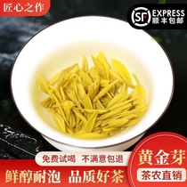 Gold Bud 2021 New Tea Green Tea Mingchen Super Head Spring Tea Bud Zhejiang Anji White Tea Bulk 250g