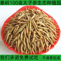 Qinling Shanshan selected large-scale Chinese herbal medicine Pseudostellaria children ginseng sulfur-free fresh dry goods non-wild 50g
