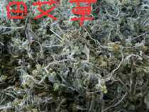 2022 Zhengzongtian Ai Bai Flower Tian Ai Qiantian Aishay Tian Ai used to make Epie Ai Glutinous Rice Raw Material 500g