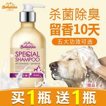 Pet dog shower gel sterilization and deodorization special shampoo Teddy golden hair products acaricidal bacteria bath liquid cat