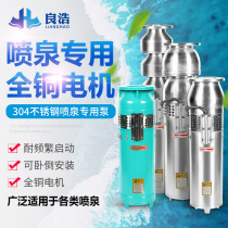 QS304 stainless steel fountain pump QSP65-7-2 2 landscape fountain pump rockery villa community fountain submersible pump