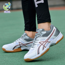 Professional Volleyball Shoes Men and womens tennis Aerovolleyball Match Training Shoes Non-slip Bull Fascia Bottom Badminton Handball Shoe Size 47