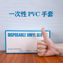 Disposable PVC gloves Ding Qing transparent latex protection beauty powder-free baking home labor insurance routine