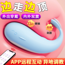 Remote Remote Control Shaker Jump Egg Muted Student Dorm Room Female Small Electric Dolphin Massager Vibration Theorizer