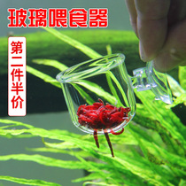 Glass red insect feeder fish tank feeding ring frozen plump shrimp red insect feeding fish floating cup small artifact transparent