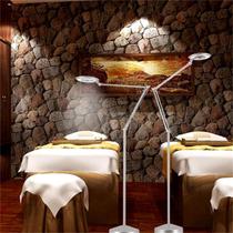 Beauty lamp Floor lamp led tattoo eyebrow eyelashes Nail art shadowless lamp Micro plastic surgery cold light beauty salon embroidery lamp