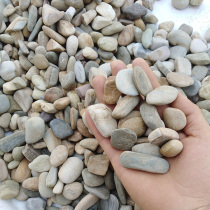 Guizhou Natural pebbles yellow edge turtle environment landscape mat flower pot fish tank decoration turtle drying table small stone