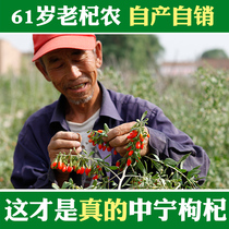 Lycium barbarum Ningxia special grade structure berry fruit wolfberry wolfberry tea male kidney wolfberry health farmer Zhongning wolfberry 500g